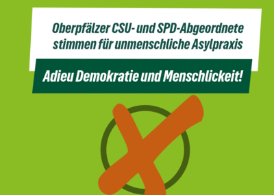 CDU/CSU und SPD wollen Abschiebungen ohne Bundesrat und Bundestag entscheiden!